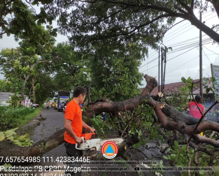 AKIBAT CUACA EKSTRIM DI WILAYAH MAGETAN 3 POHON TUMBANG DAN RUMAH ROBOH