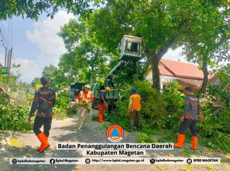 Sinergi Lintas Sektor, Pemangkasan Pohon Rawan Tumbang di Jalur Parang – Lembeyan Demi Keselamatan Masyarakat