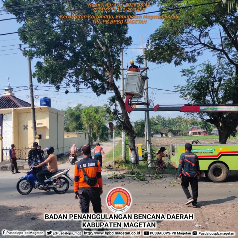 BPBD Magetan Bersama Lintas Instansi Laksanakan Pemangkasan Pohon Rawan Tumbang di Wilayah IV Kartoharjo
