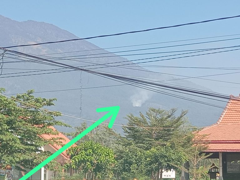Kebakaran Hutan Terjadi di Gunung Lawu, BPBD Magetan Bersama Tim Gabungan Lakukan Penanganan